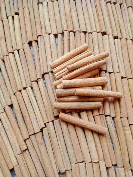 一級煙桂- Premium Cinnamon Sticks